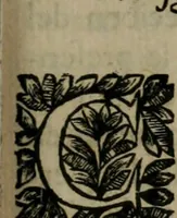 An illustration from Principe perfecto y ministros aiustados : documentos politicos, y morales en emblemas (1662)