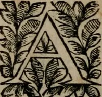 An illustration from Principe perfecto y ministros aiustados : documentos politicos, y morales en emblemas (1662)
