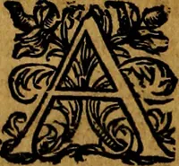 Picture 57 of 146 from Principe perfecto y ministros aivstados, docvmentos politicos, y morales. En emblemas (1662), leaf 191
