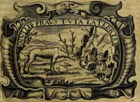 Picture 36 of 147 from Principe perfecto y ministros aivstados, docvmentos politicos, y morales. En emblemas (1662), leaf 140