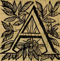 Picture 49 of 147 from Principe perfecto y ministros aivstados, docvmentos politicos, y morales. En emblemas (1662), leaf 175