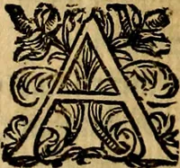 Picture 54 of 147 from Principe perfecto y ministros aivstados, docvmentos politicos, y morales. En emblemas (1662), leaf 185