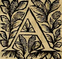 Picture 125 of 147 from Principe perfecto y ministros aivstados, docvmentos politicos, y morales. En emblemas (1662), leaf 385