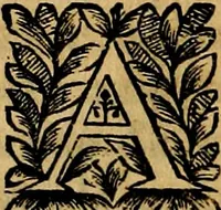 Picture 128 of 147 from Principe perfecto y ministros aivstados, docvmentos politicos, y morales. En emblemas (1662), leaf 389