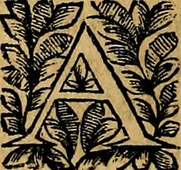 Picture 131 of 147 from Principe perfecto y ministros aivstados, docvmentos politicos, y morales. En emblemas (1662), leaf 393