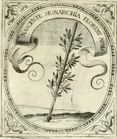 Picture 109 of 126 from Idea de vn principe politico christiano : representada en cien empresas (1640), leaf 628