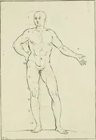 An illustration from Principes de dessein (1700)
