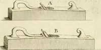 An illustration from Des principes de l'architecture, de la sculpture, de la peinture et des autres arts qui en dependent : avec un dictionnaire des terms propres à chacun de ces arts (1690)