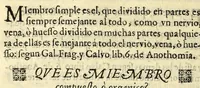 An illustration from Principia medicinae, epitome, et totius humani corporis fabrica seu ex microcosmi armonia divinum, germen, (1685)