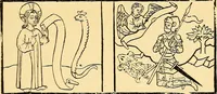 Picture 61 of 66 from Principia typographica. The block-books, or xylographic delineations of scripture history; issued in Holland, Flanders and Germany, during the fifteenth century, exemplified and considered in connexion with the origin of printing. To which is added an attempt to elucidate the character of the paper-marks of the period (1858), leaf 294
