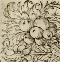 An illustration from Principios del reyno de Portugal : con la vida y hechos di Don Alfonso Henriquez, su primero rey : y con los principios de los otros estados christianos de Hespaña (1641)