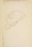 Picture 3 of 3 from Principles of beauty relative to the human head (1778), leaf 102