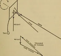 An illustration from Principles and design of aëroplanes (1912)