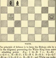 An illustration from The principles of chess in theory & practice.. (1894)