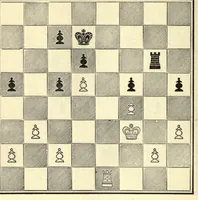 An illustration from The principles of chess in theory & practice.. (1894)