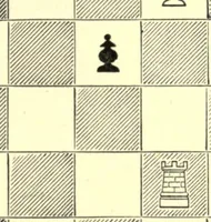 An illustration from The principles of chess in theory & practice.. (1894)