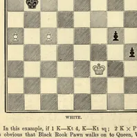 An illustration from The principles of chess in theory & practice.. (1894)