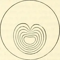 An illustration from Principles of decorative design (1873)