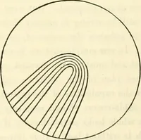 An illustration from Principles of decorative design (1873)