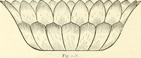 An illustration from Principles of decorative design (1873)