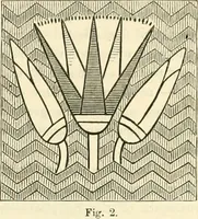 An illustration from Principles of decorative design (1873)