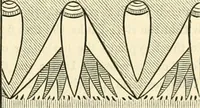 An illustration from Principles of decorative design (1873)