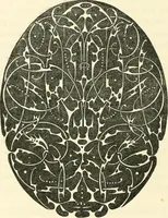 An illustration from Principles of decorative design (1873)
