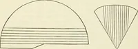 An illustration from Principles of decorative design (1870)