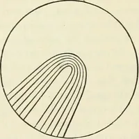 An illustration from Principles of decorative design (1870)
