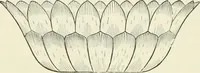 An illustration from Principles of decorative design (1870)