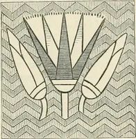 An illustration from Principles of decorative design (1870)