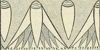 An illustration from Principles of decorative design (1870)