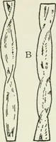 An illustration from Principles of dyeing (1921)