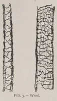 Picture 2 of 9 from Principles of dyeing (1916), leaf 97