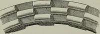 An illustration from The principles of Gothic ecclesiastical architecture : with an explanation of technical terms and a centenary of ancient terms ... (1882)