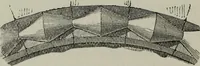 An illustration from The principles of Gothic ecclesiastical architecture : with an explanation of technical terms and a centenary of ancient terms ... (1882)