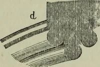 An illustration from The principles of Gothic ecclesiastical architecture : with an explanation of technical terms and a centenary of ancient terms ... (1882)