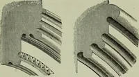 An illustration from The principles of Gothic ecclesiastical architecture : with an explanation of technical terms and a centenary of ancient terms ... (1882)