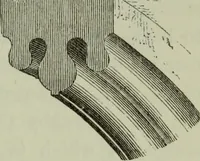 An illustration from The principles of Gothic ecclesiastical architecture : with an explanation of technical terms and a centenary of ancient terms ... (1882)