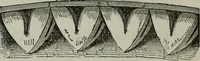An illustration from The principles of Gothic ecclesiastical architecture : with an explanation of technical terms and a centenary of ancient terms ... (1882)