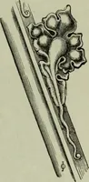 An illustration from The principles of Gothic ecclesiastical architecture : with an explanation of technical terms and a centenary of ancient terms ... (1882)