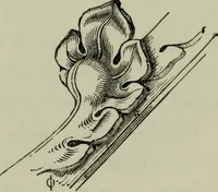 An illustration from The principles of Gothic ecclesiastical architecture : with an explanation of technical terms and a centenary of ancient terms ... (1882)