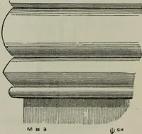 An illustration from The principles of Gothic ecclesiastical architecture : with an explanation of technical terms and a centenary of ancient terms ... (1882)