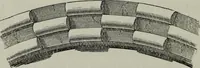 An illustration from The principles of Gothic ecclesiastical architecture : with an explanation of technical terms and a centenary of ancient terms ... (1882)