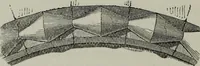 An illustration from The principles of Gothic ecclesiastical architecture : with an explanation of technical terms and a centenary of ancient terms ... (1882)