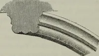 Picture 85 of 196 from The principles of Gothic ecclesiastical architecture : with an explanation of technical terms and a centenary of ancient terms ... (1882), leaf 151