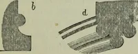 An illustration from The principles of Gothic ecclesiastical architecture : with an explanation of technical terms and a centenary of ancient terms ... (1882)