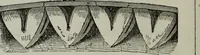 An illustration from The principles of Gothic ecclesiastical architecture : with an explanation of technical terms and a centenary of ancient terms ... (1882)