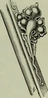 An illustration from The principles of Gothic ecclesiastical architecture : with an explanation of technical terms and a centenary of ancient terms ... (1882)