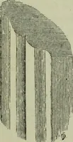 An illustration from The principles of Gothic ecclesiastical architecture : with an explanation of technical terms and a centenary of ancient terms ... (1882)